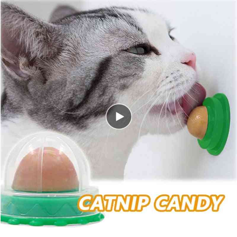 Vitamin Pudding Catnip Lollipop For Cat