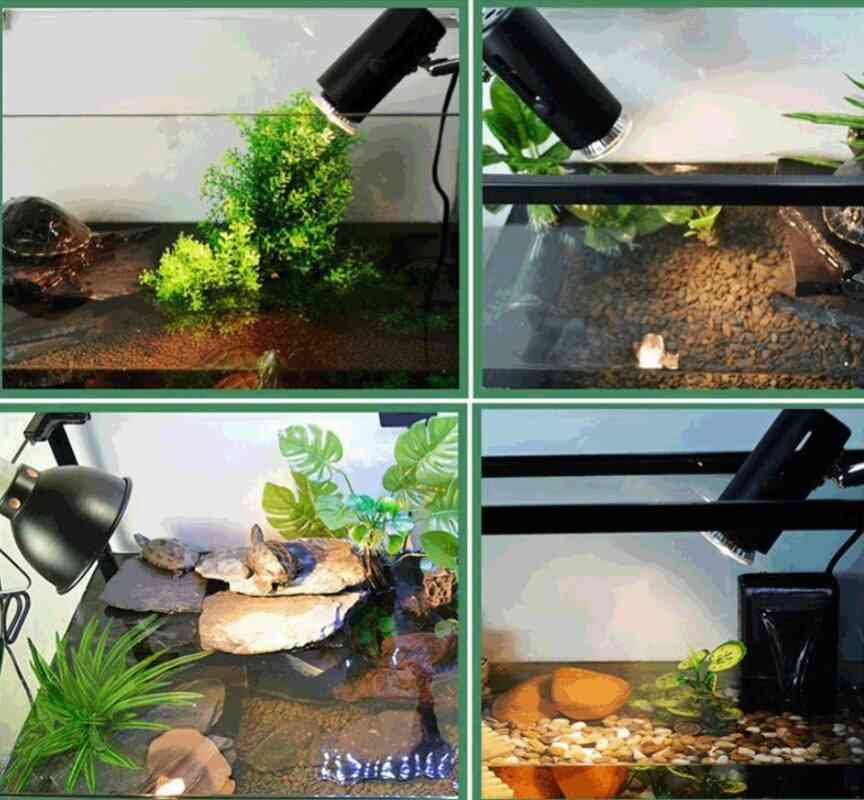 Reptile Uv Lamp Pet Turtle Heating Bulb