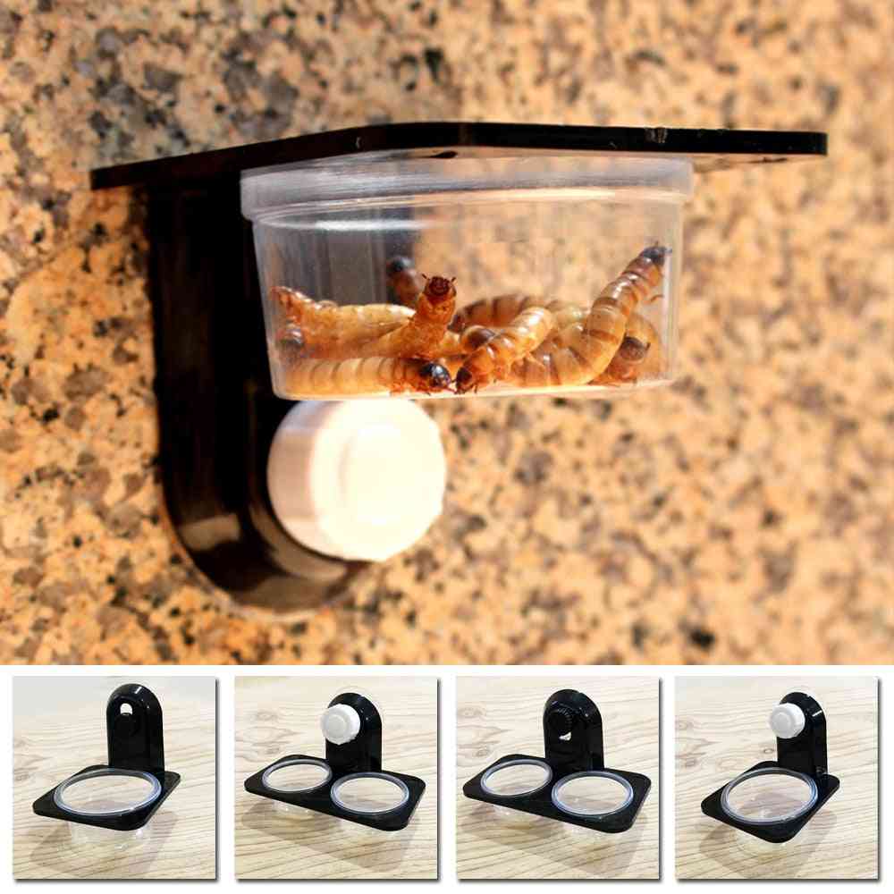 Hot ?1pcs Reptile Tank Insect Spider Ants Nest Snake Gecko Food Water Feeding Bowl Terrarium Breeding Feeders Box Pets Supplies
